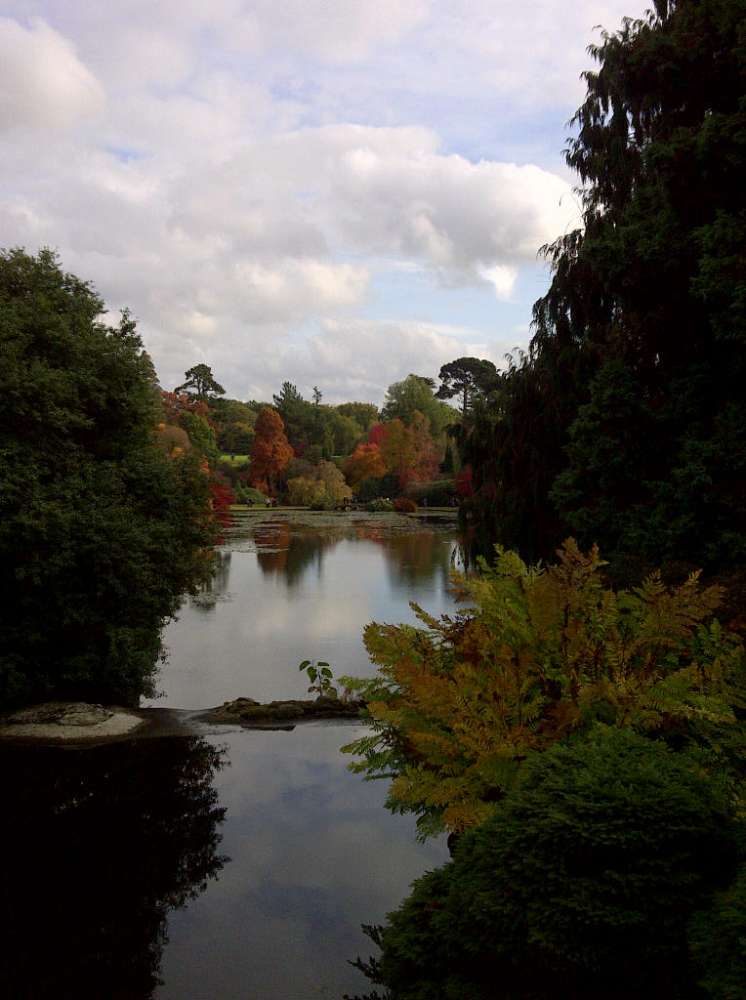 Wealden-20111029-00461.jpg