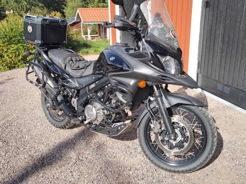 2025 Säl 2.jpg