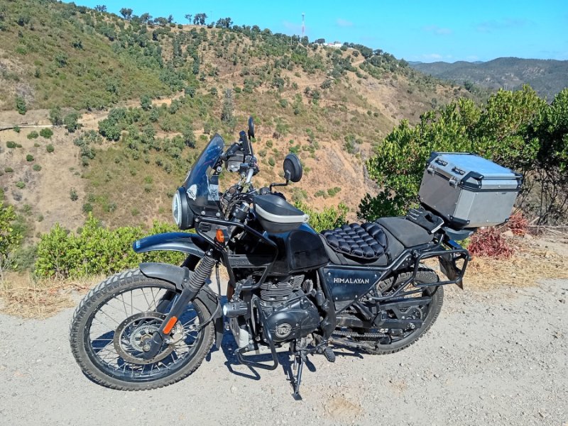 05 Himalayan Alferce.jpg