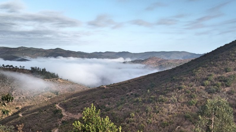 01 View.jpg