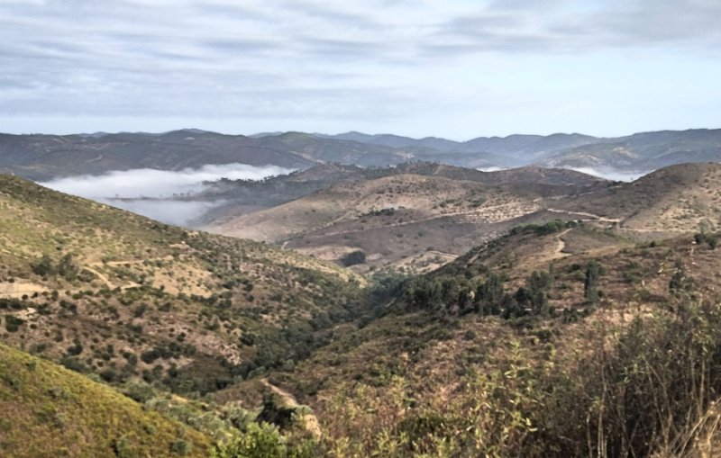 02 View.jpg