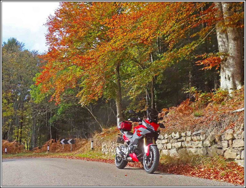 131025-AutumnalColours.jpg