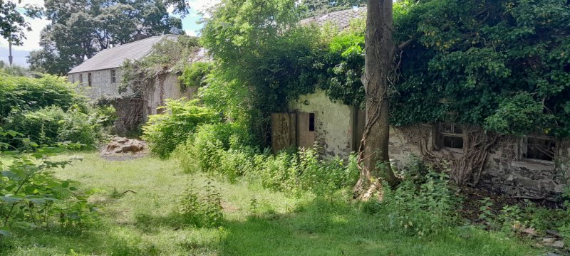 20260620_145701.jpg