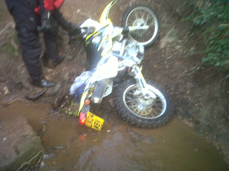 IMG00615-20120122-1051.jpg