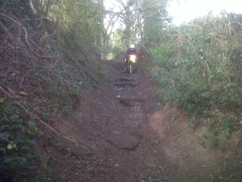 IMG00605-20120122-1037.jpg