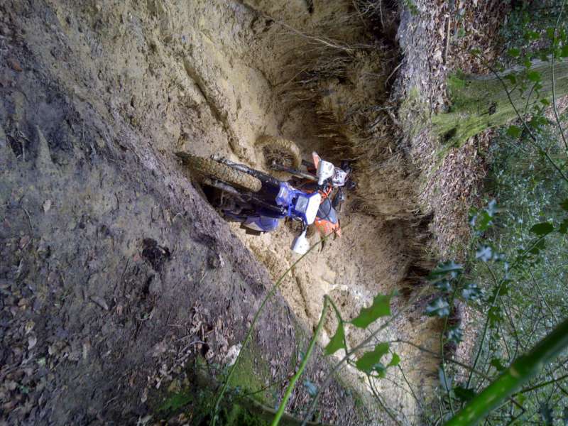 IMG-20120129-005631.jpg