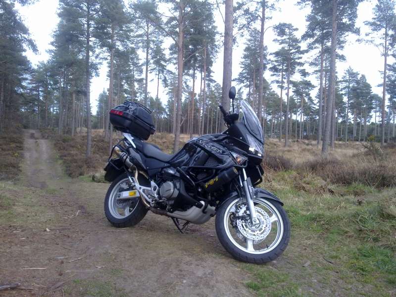 03032012577.jpg