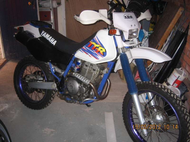 ttr250018.JPG