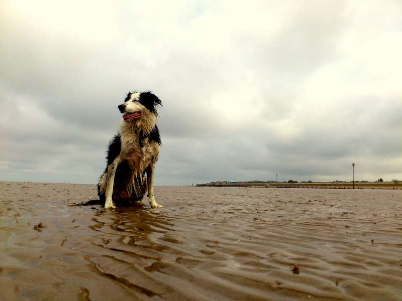 Hunstanton201214.JPG