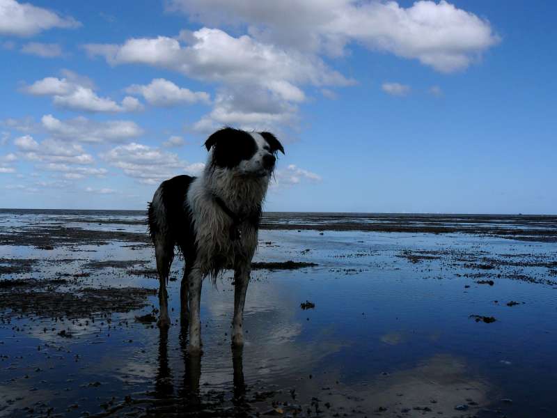 Hunstanton20121.JPG