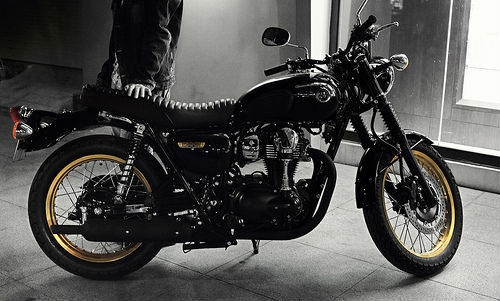 W800-1.jpg