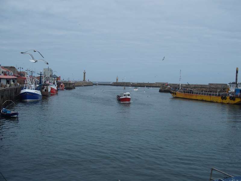 DSCF5083.JPG