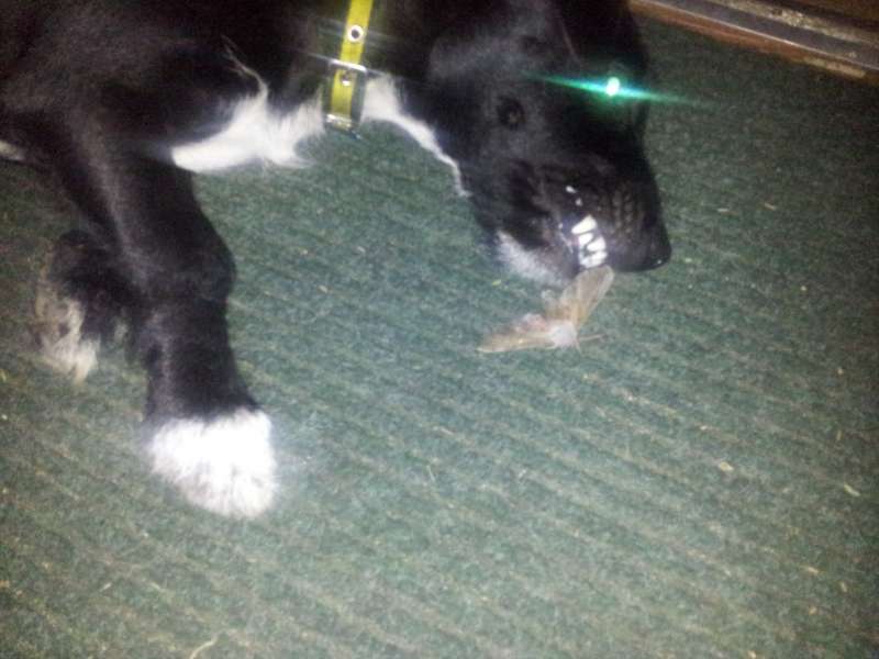 20120808_003035.jpg