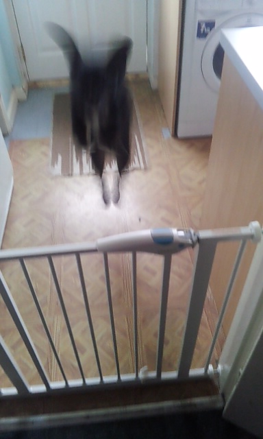 20130303_151228.jpg