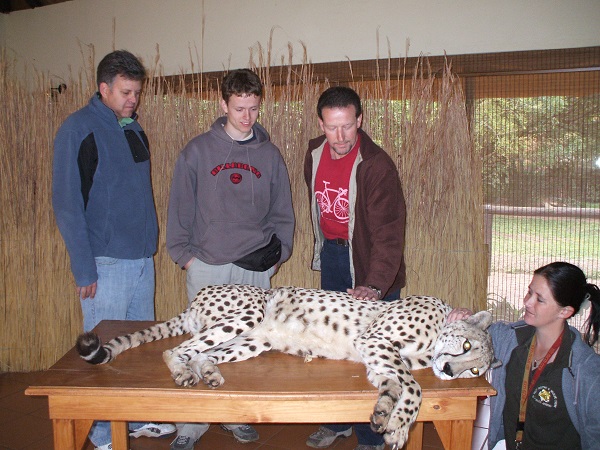 Cheetah003.jpg
