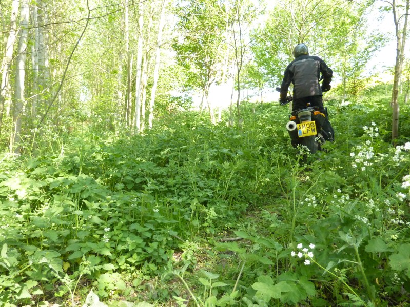 Sunday morning ride out may 1st 2011 016_2011-05-01.jpg