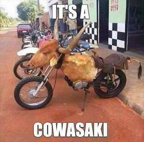 cowasaki.jpg