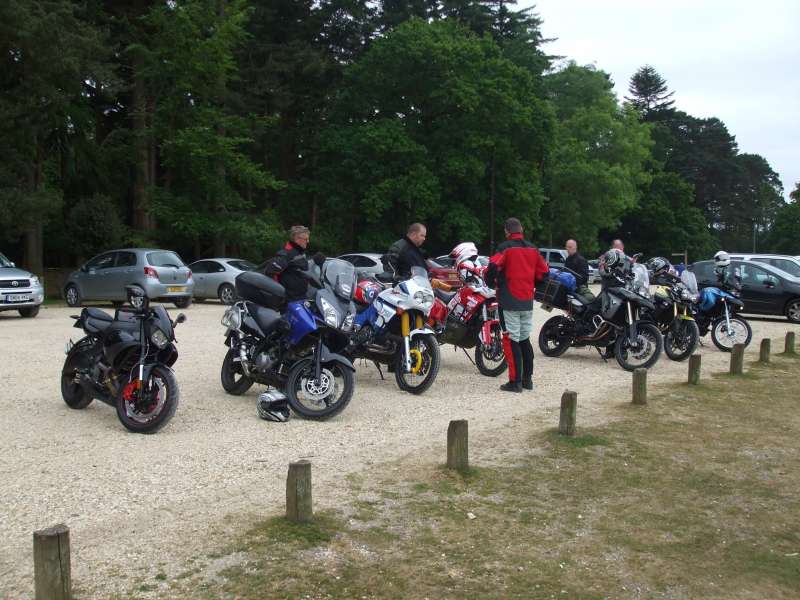 new forest bimble 004.JPG