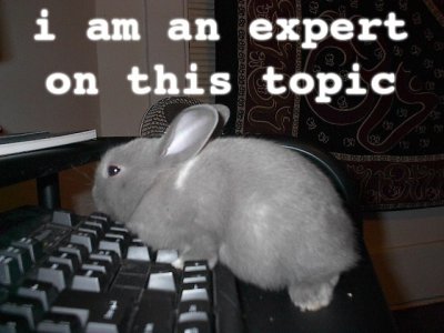 bunny-expert.jpg