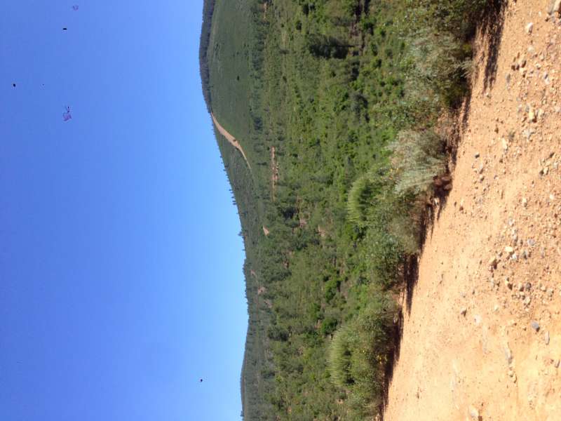 image_2016-07-02.jpeg