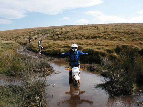 Welsh mud.JPG