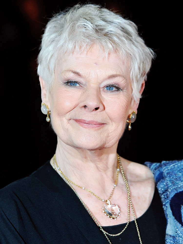 judi-dench_sc_768x1024.png