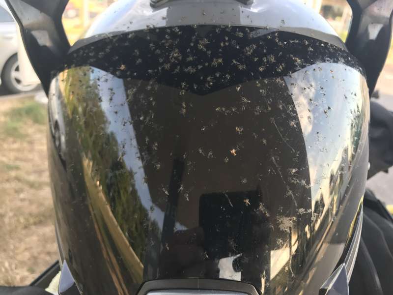 IMG_16072.JPG