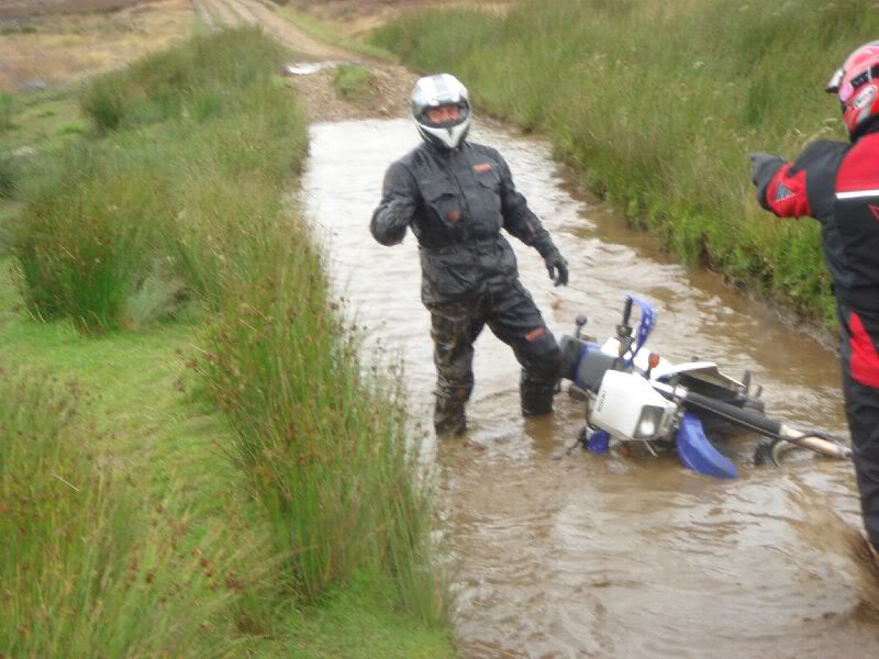 Commondale8.jpg