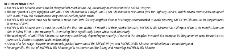 Michelin.jpg