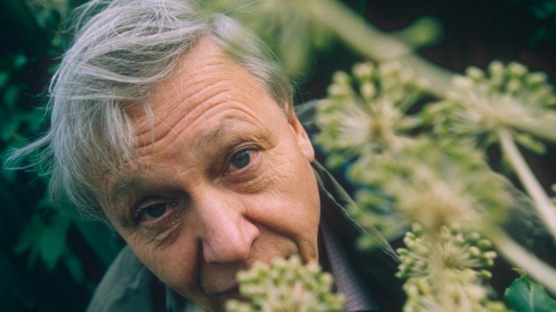 attenborough2.jpg