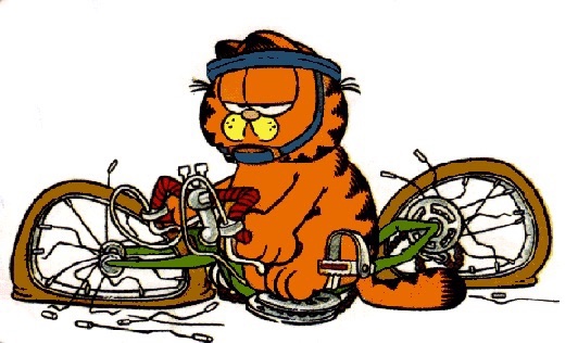 garfieldbrokenbike.jpg