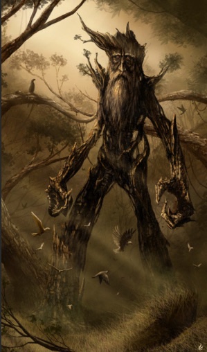 treebeard.jpg