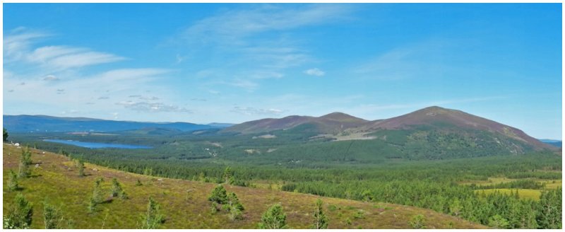 1-Loch Morlich-090820.jpg