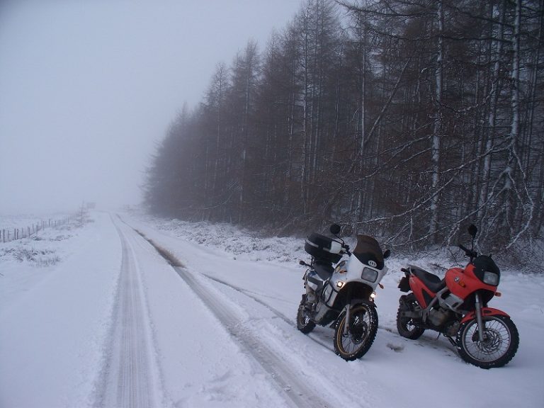 snow_2011-02-12.jpg