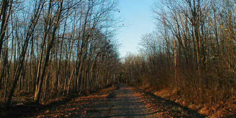 Kelly Road