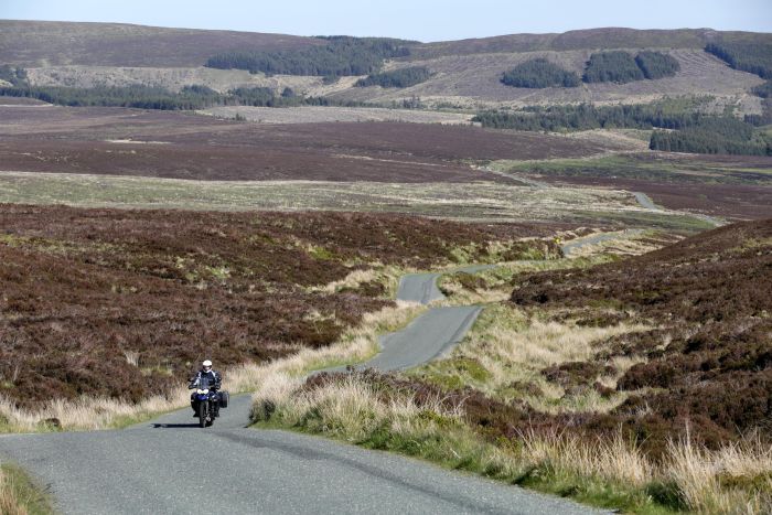 Geoff in the Sally Gap, County Wicklow