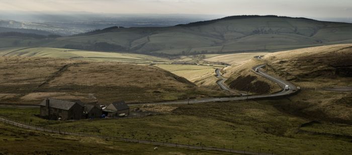 The Cat and Fiddle