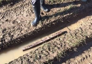 Spike trap on Wiltshire green lane