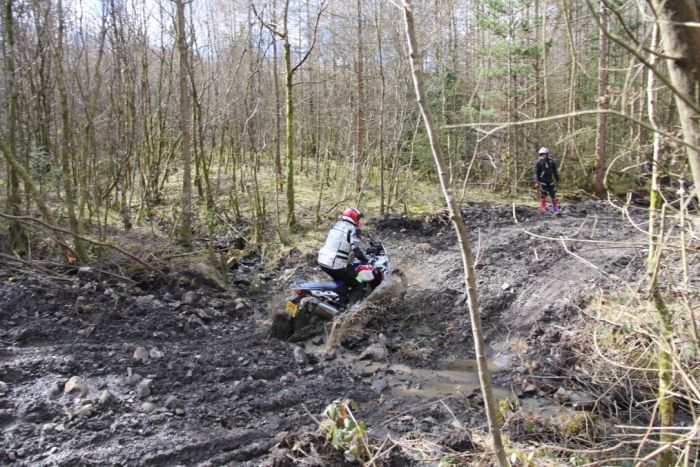 Honda Africa Twin off-road