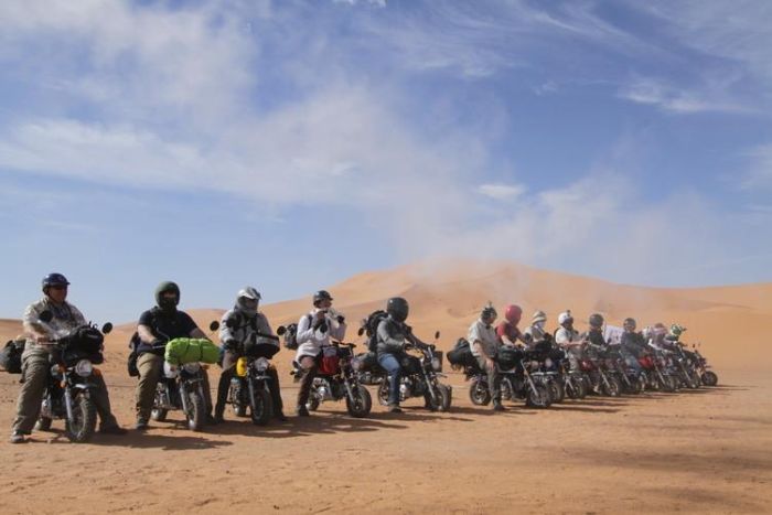 The Monkey Run