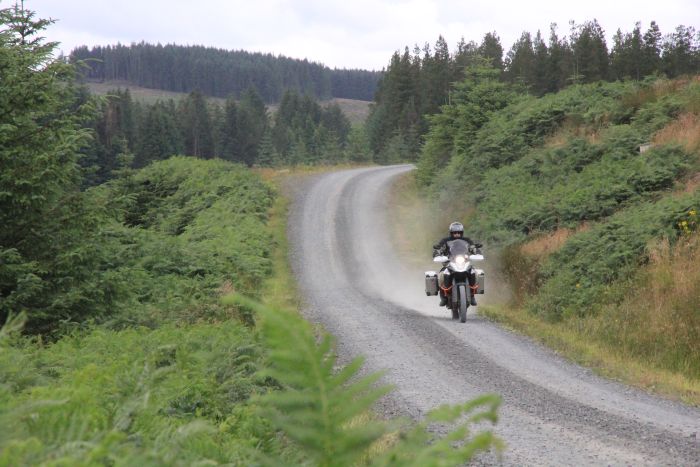 Kielder Forest