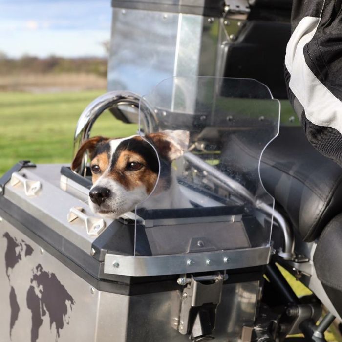 Dog-friendly pannier
