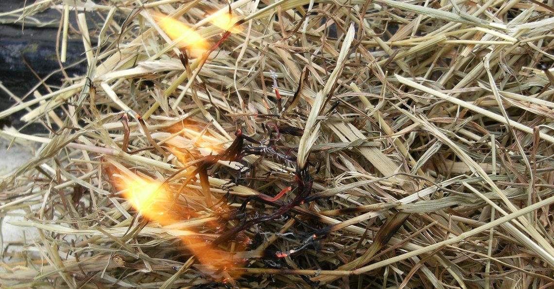 Fire