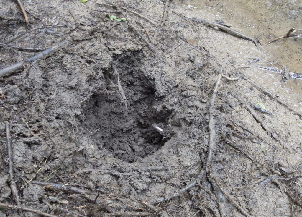 Start of the seep well