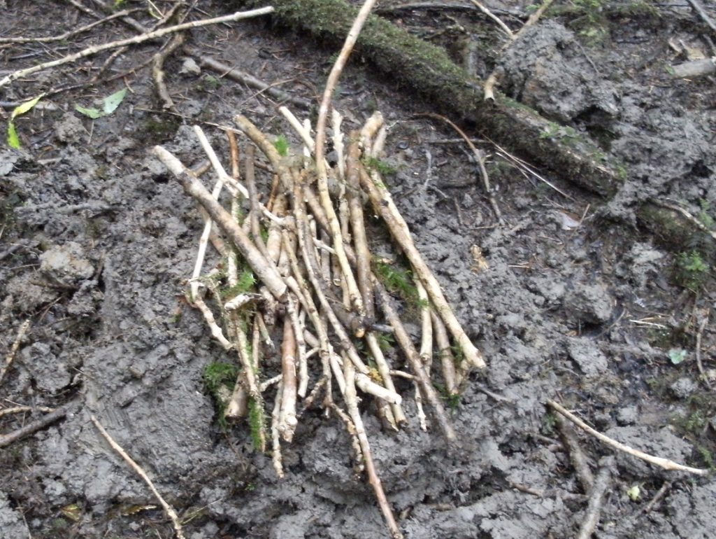 lay a firebed of sticks on top of mound