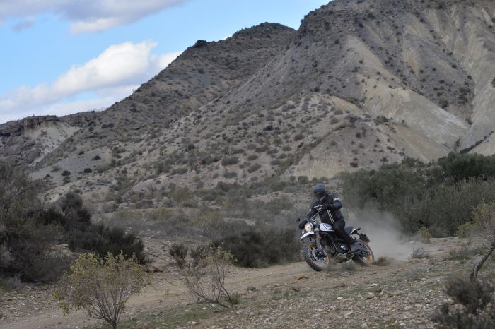 Ducati Scrambler Desert Sled in action