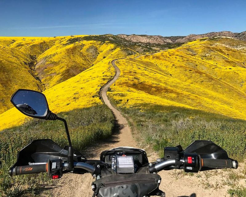 Las Padres National Park California