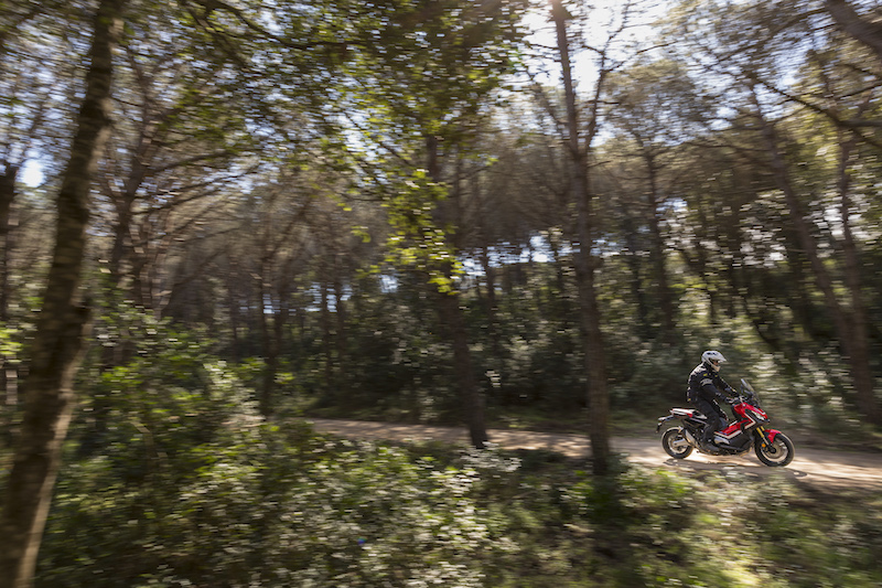 Riding the Honda adventure scooter through a wooded off road section