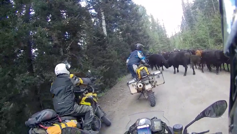 Owl Creek Pass
