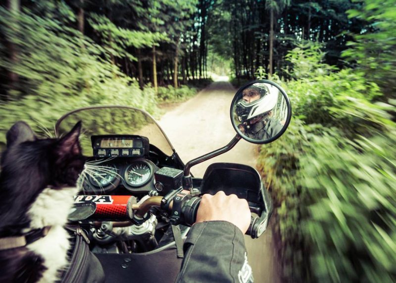 Moto Mogli, Martin Klauka motorcycle